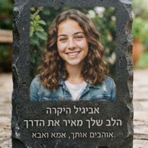 אבן בזלת להדפסה 20-30 ס"מ