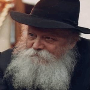 הרבי מלובביץ