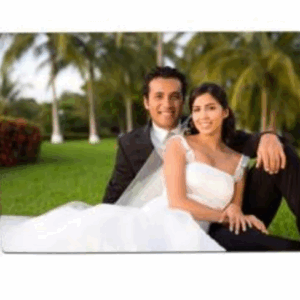 תמונה על עץ עבה