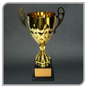 גביע עם הדפסה